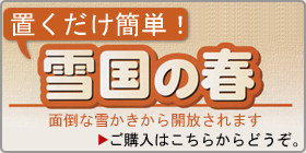 雪国の春ご購入はこちらからどうぞ！